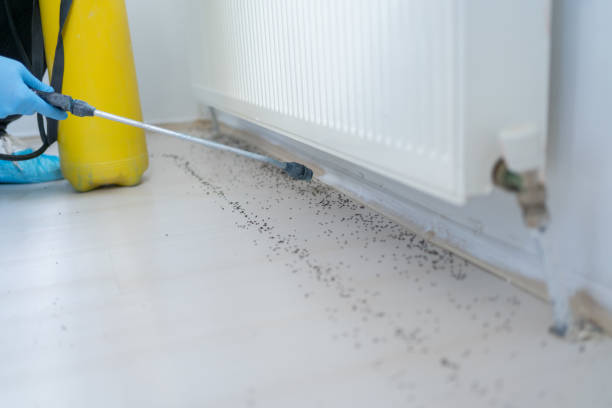 Best Bed Bug Extermination  in Rosaryville, MD